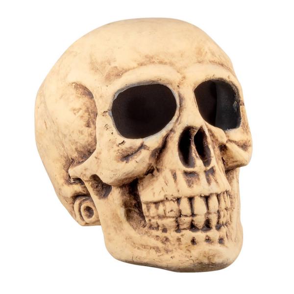 Skull: Masterbrain - RDLF-74522