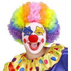 Clown Wig