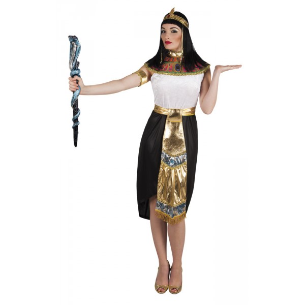 Nefertari Queen of Egypt Costume - 83803-Parent