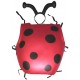 Miniature Ladybug Set