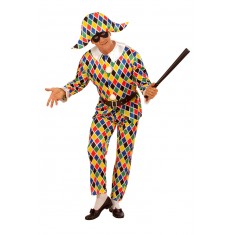 Carnival costume - Adult Harlequin costume
