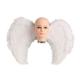 Miniature Pair of White Feathered Wings - 65 x 50 cm