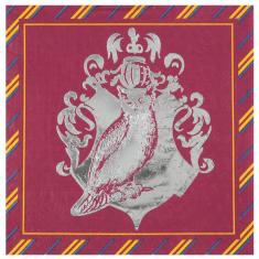 Paper napkins x 20 - Sorcerer