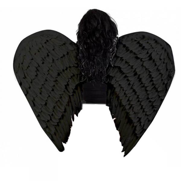 Pairs of Giant Black Wings - 100 x 80 cm - 29617