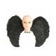 Miniature Pair of Black Feathered Wings - 65 x 50 cm