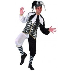 Carnival Costume: Harlequin Costume