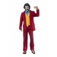 Mr Crazy Costume - Adult