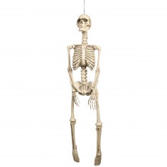 Skeleton Hanging Decoration 92 cm