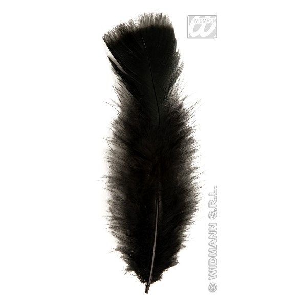 Bag of 50 Black Feathers - 0497B-Parent