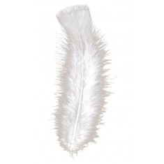 Bag of 50 white feathers