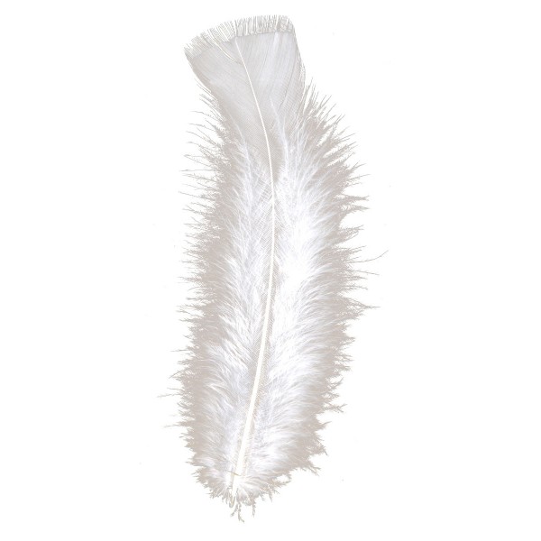 Bag of 50 white feathers - 0498W