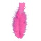 Miniature Bag of 50 Pink Feathers