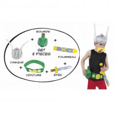Asterix costume accessories - Child