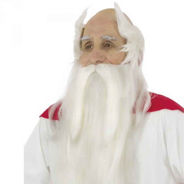 Panoramix wig and beard set - Adult - C4211