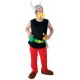 Miniature Asterix Costume - Adult