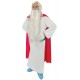 Miniature Panoramix Costume - Adult