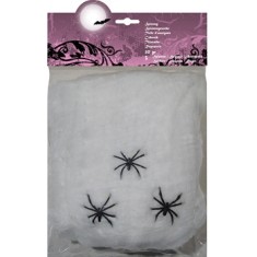 Magic Spider Web