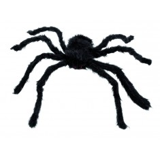 Aglaé The Spider