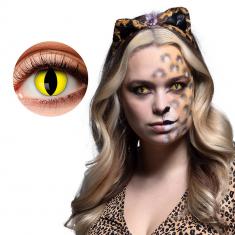 1-week Lenses: Wild Cat