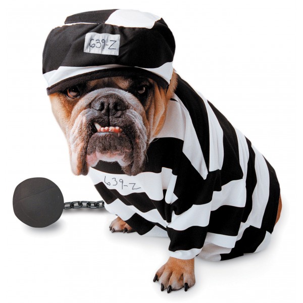 Prisoner Dog Costume - parent-15986