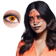 1-week Lenses: Pumpkin