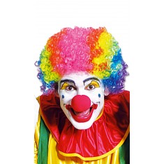 Carnival wig: multicolored Clown wig