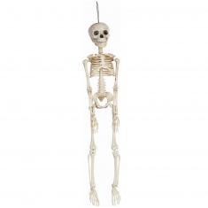 Articulated Skeleton 45 cm PVC