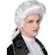 Miniature Mozart wig