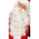 Miniature Luxury Santa Wig and Beard