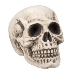 Skull: Bighead