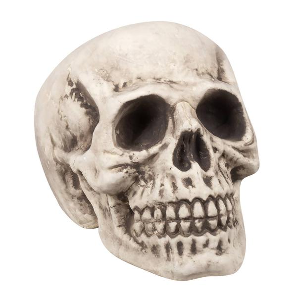 Skull: Bighead - RDLF-71988