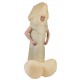 Miniature Zizi Inflatable Costume