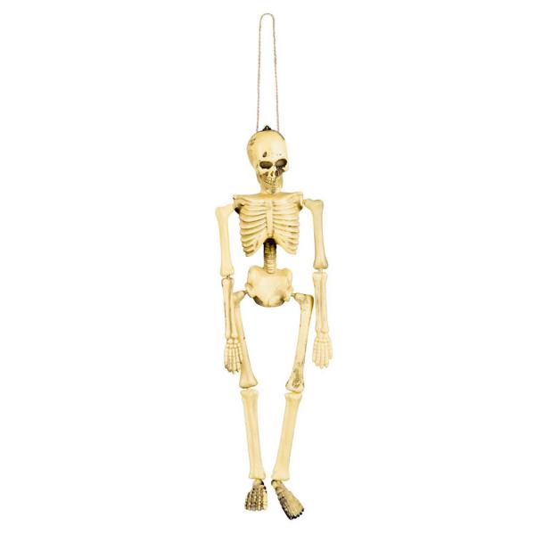 Skeleton - RDLF-72069