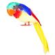 Miniature Parrot tweets