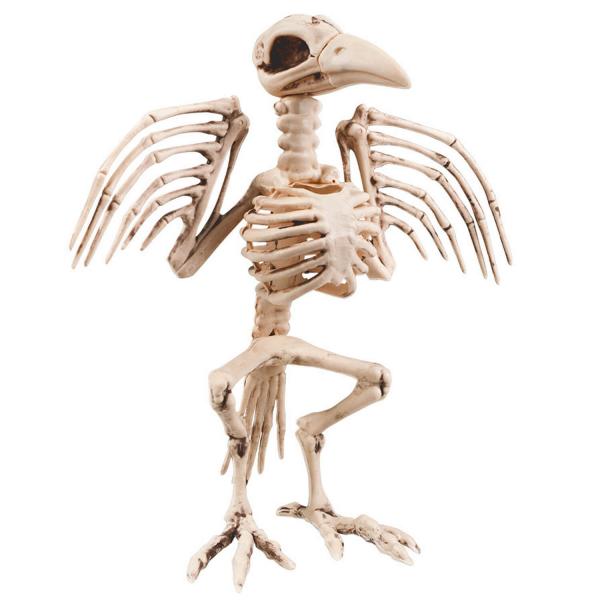 Crow skeleton 32cm - 72094