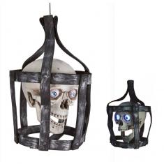 Skull in animated cage