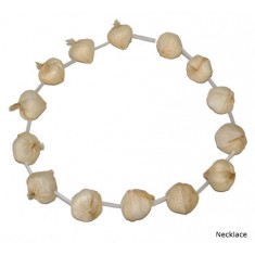 Garlic clove necklace - Halloween accessory