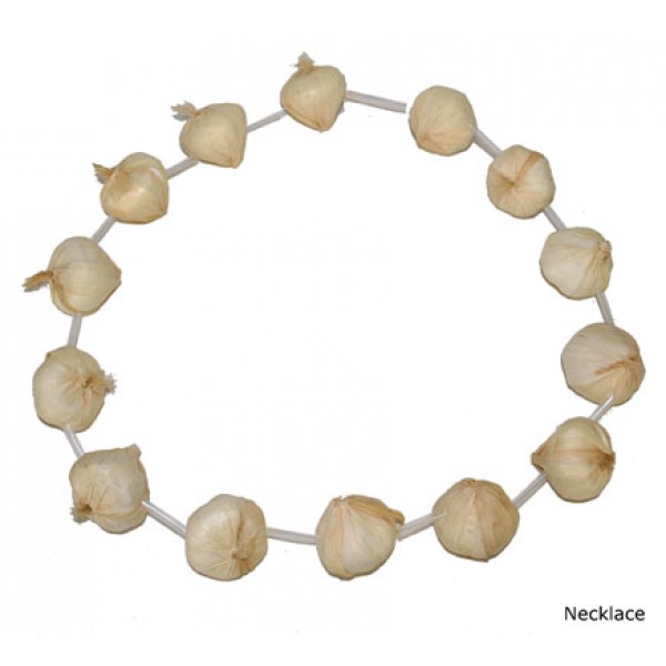 Garlic clove necklace - Halloween accessory - 60843