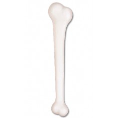 Giant Bone