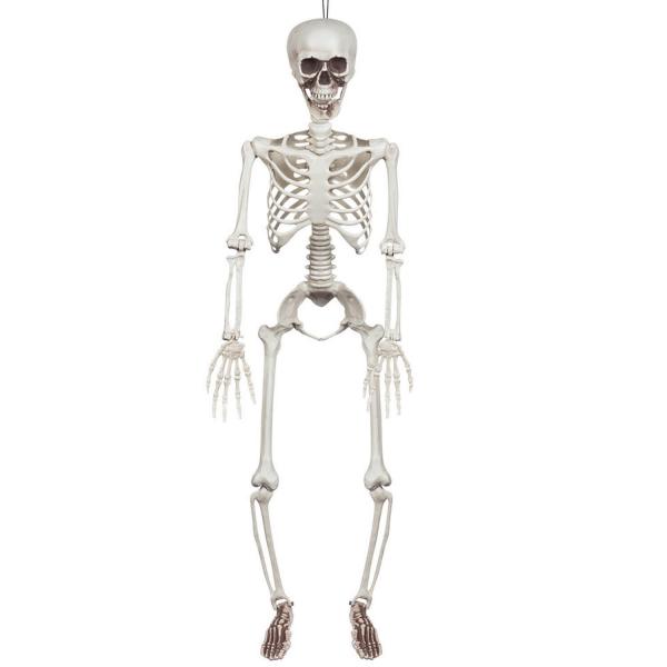 Articulated hanging skeleton 90cm - 73042