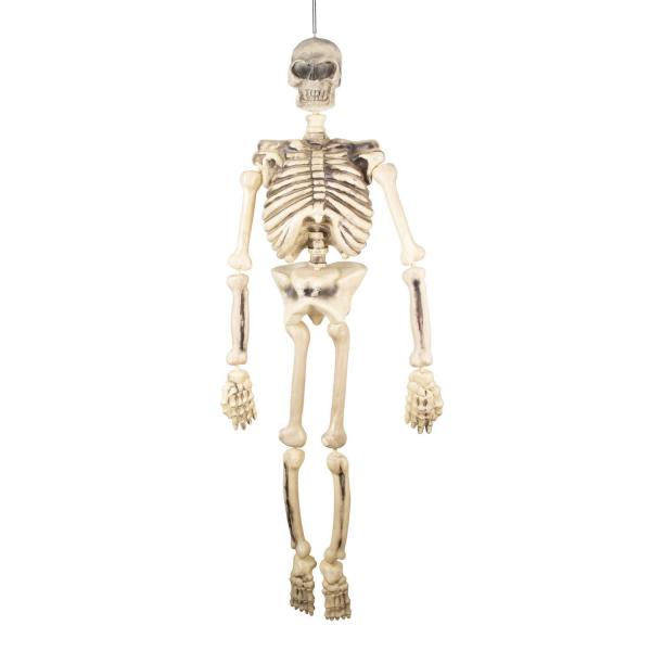 Articulated skeleton - 150 cm - RDLF-60067