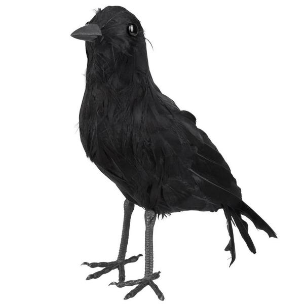 Crow - 74534