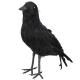 Miniature Crow