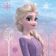 Miniature Set of 20 napkins 33x33 cm - Frozen 2