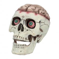 Skull: Brain-dead with movable jaw