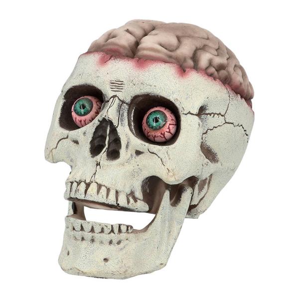 Skull: Brain-dead with movable jaw - RDLF-73213