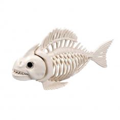 Fish Skeleton