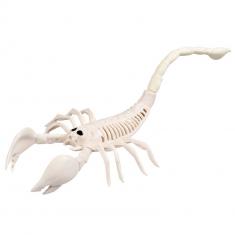 Scorpion Skeleton