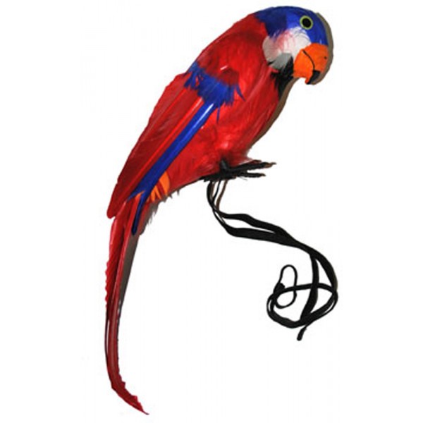 Jaquot The Parrot Decoration - 50105