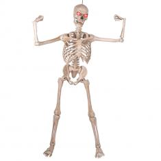 Yoga skeleton